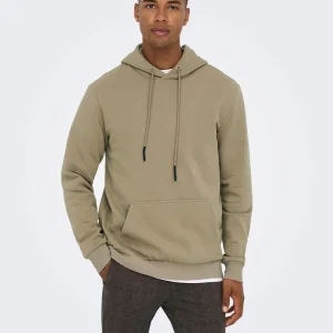 FELPA CON CAPPUCCIO FELPATA - Chinchilla