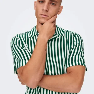 CAMICIA A RIGHE IN VISCOSA A MANICHE CORTE - Verde